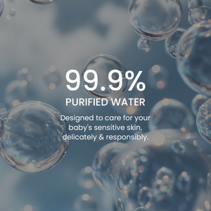 Pure + Clean Wet Wipes